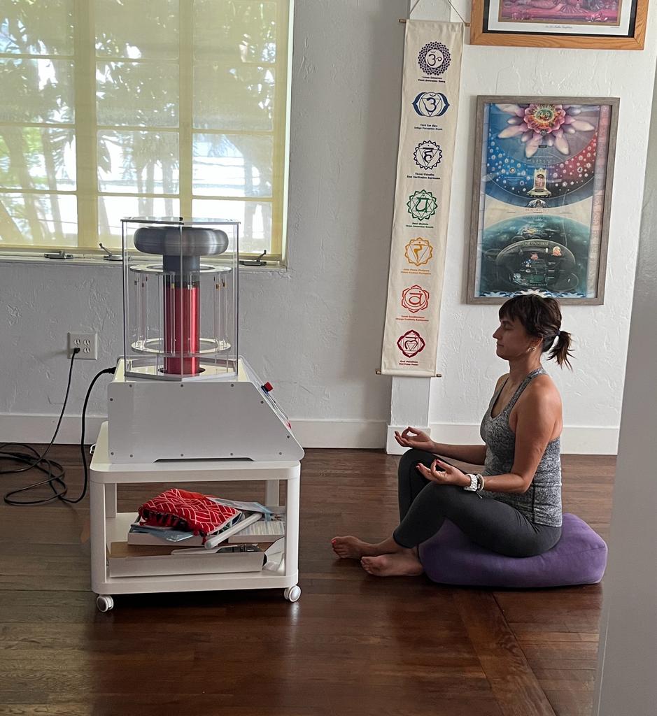 BioCharger Energy Frequency Sessions