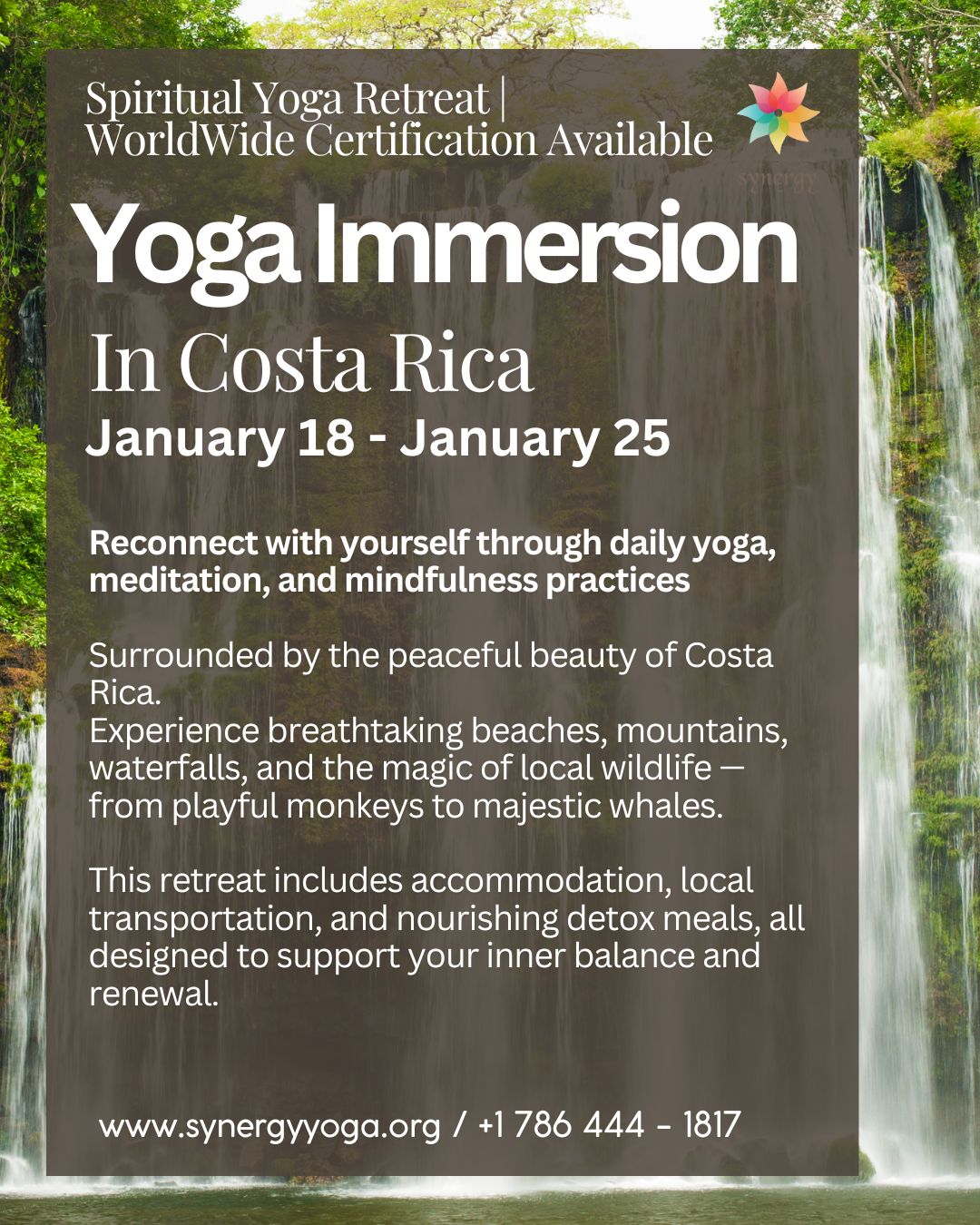 Yoga Immersion In Costa Rica- Certification available -January 18 - January 25