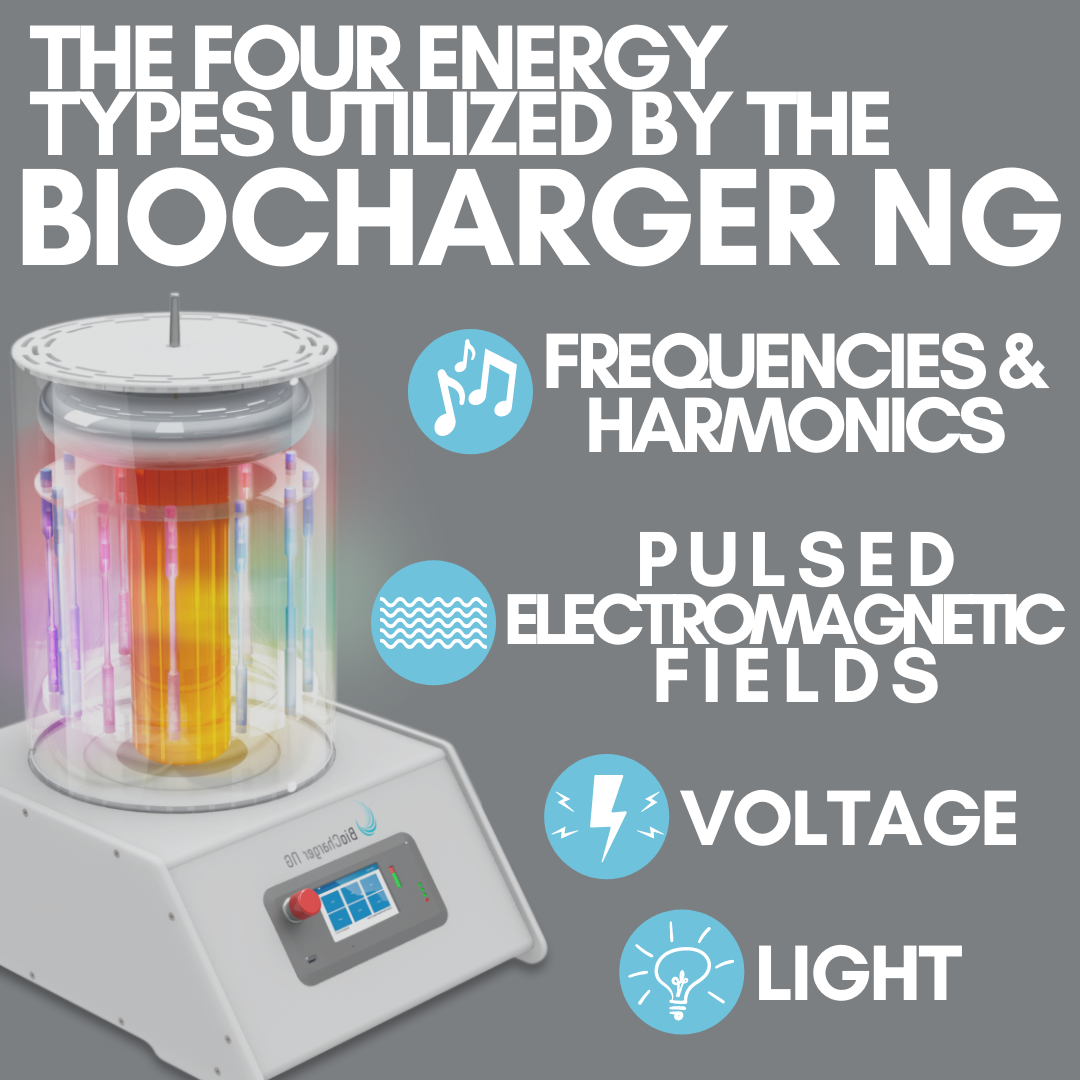 BioCharger Energy Frequency Sessions