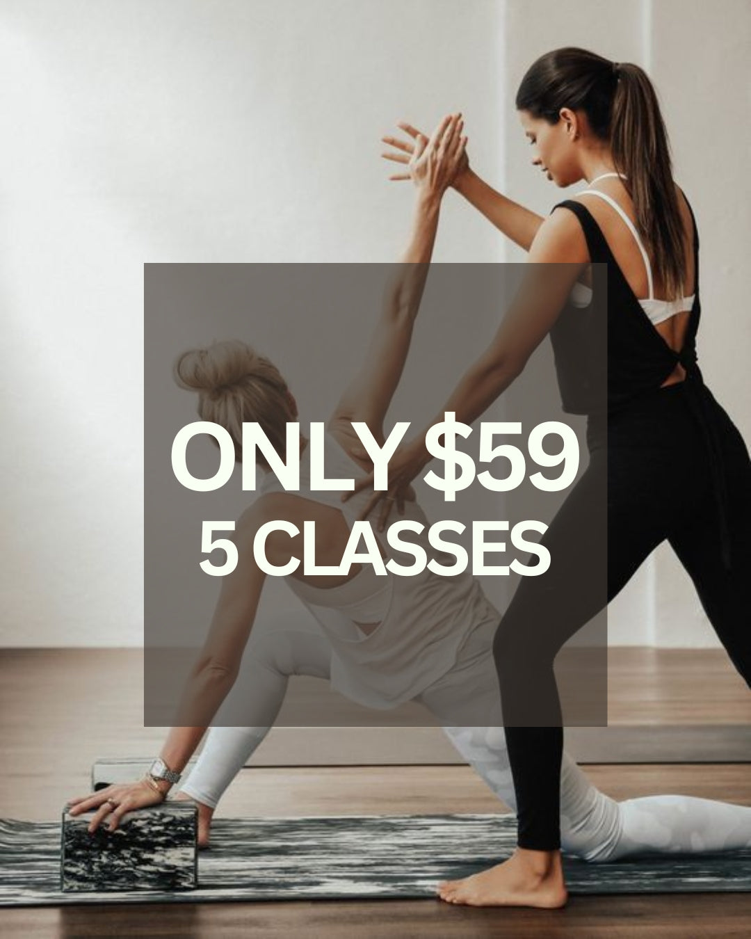 Purchase Classes