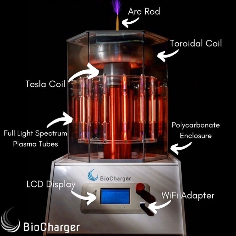 BioCharger Energy Frequency Sessions