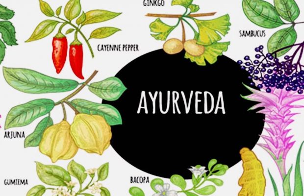 Intro to Ayurveda - Friday, September 11th | 8 AM–12 PM