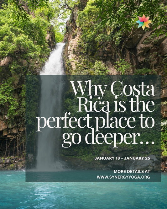 Yoga Immersion In Costa Rica- Certification available -January 18 - January 25