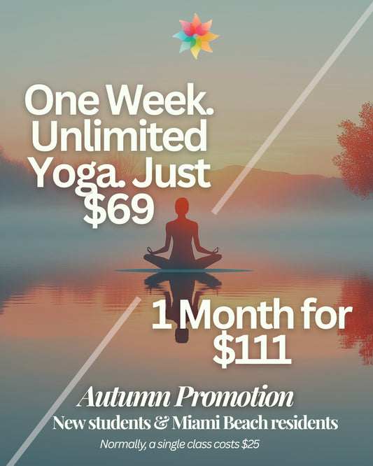 Autumn Promotion!🍁