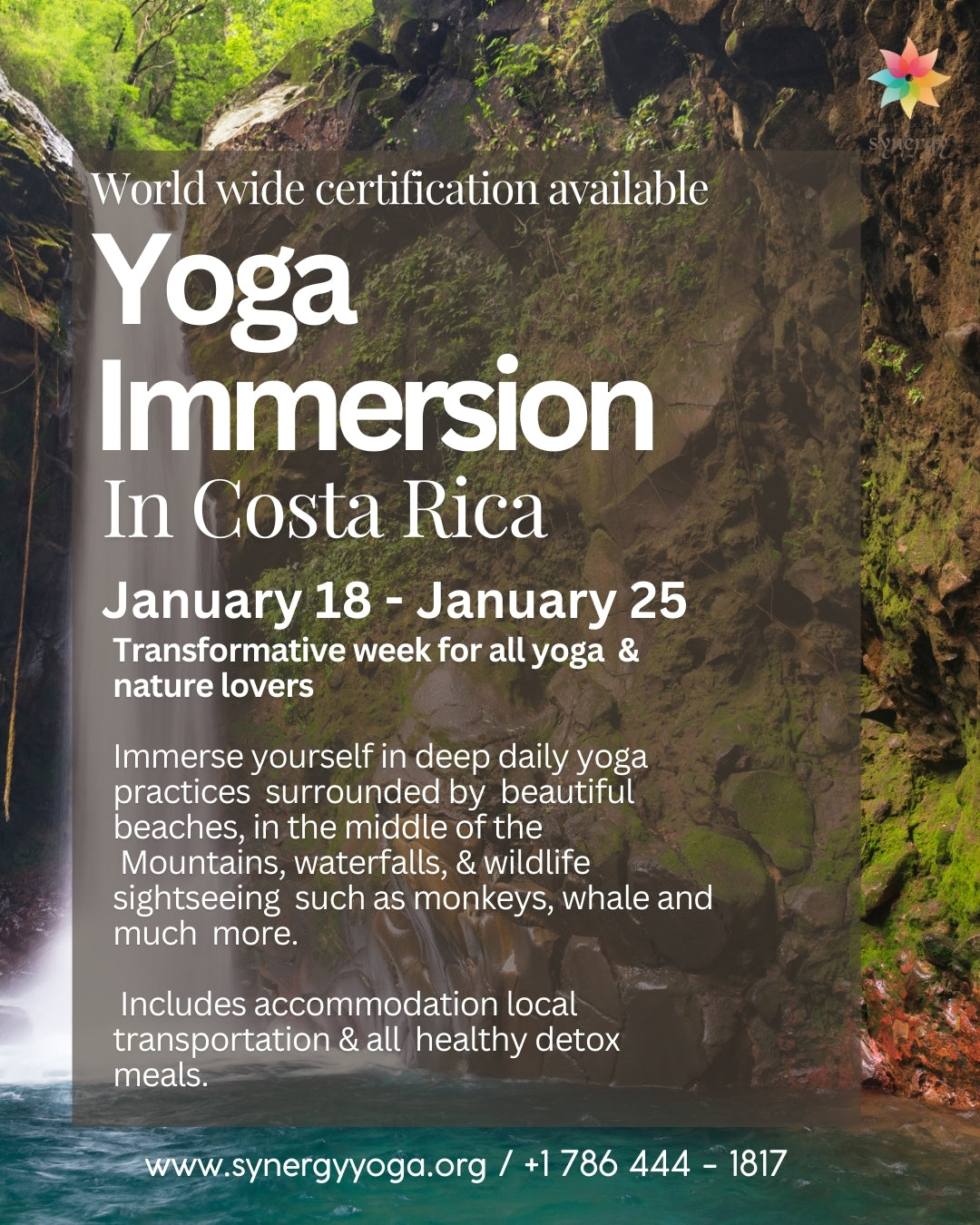 Yoga Immersion In Costa Rica- Certification available -January 18 - January 25