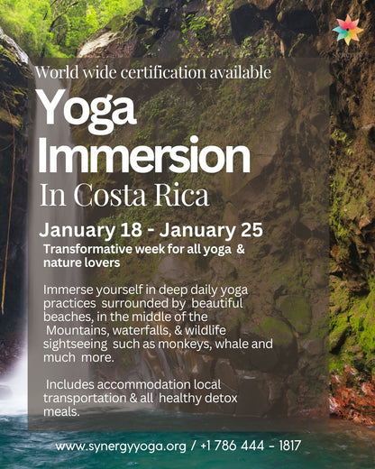 Yoga Immersion In Costa Rica- Certification available -January 18 - January 25