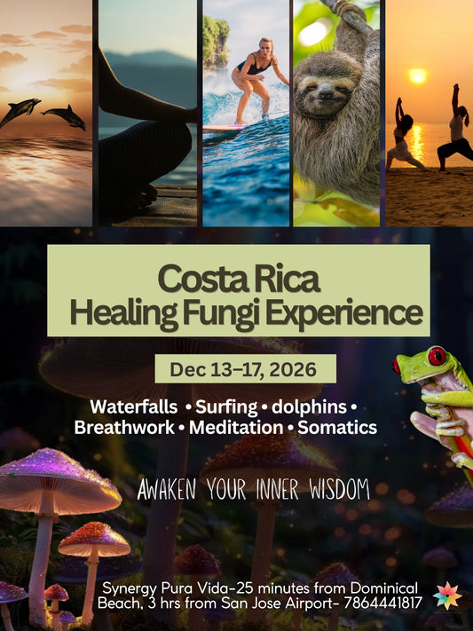 Costa Rica Healing Fungi Experience | Dec 13th - Dec 17th, 2026