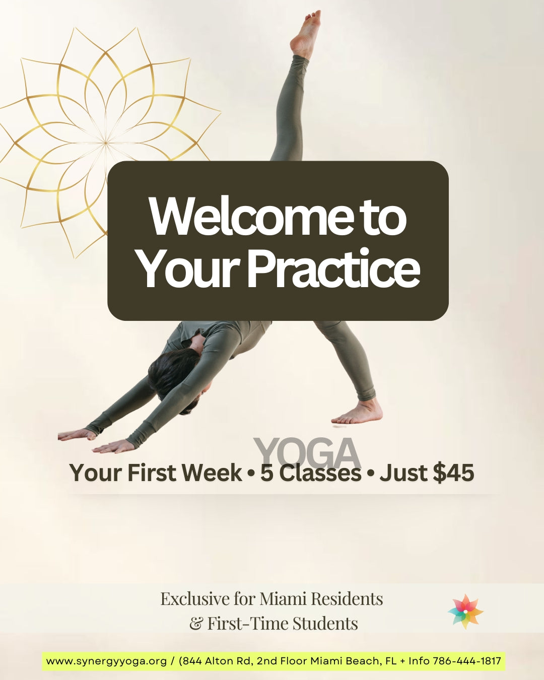 Purchase Classes