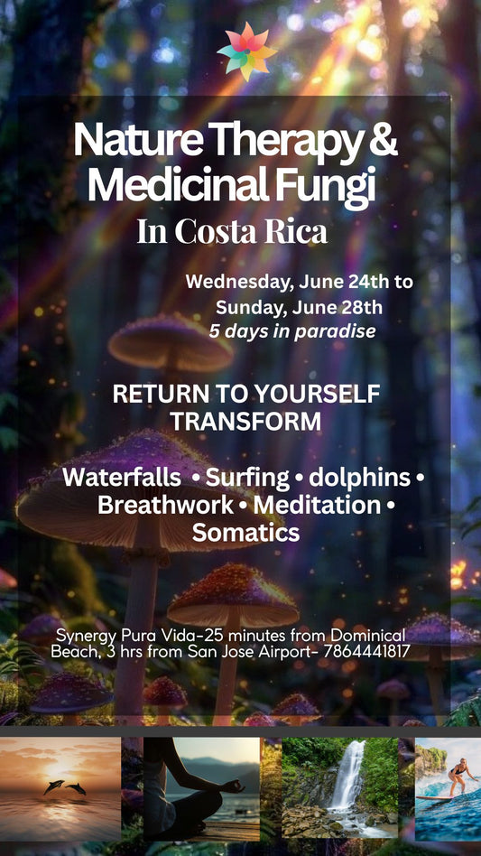 Nature Therapy & Medicinal Fungi In Costa Rica - Wednesday, June 24th -28th