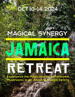 Magical Luxury Jamaica Retreat with Psilocybin Mushroom Ceremony- October 10th-14th-2024