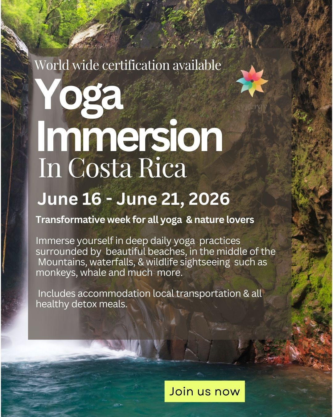 Yoga Immersion In Costa Rica- Certification available - June 16 - June 21, 2026