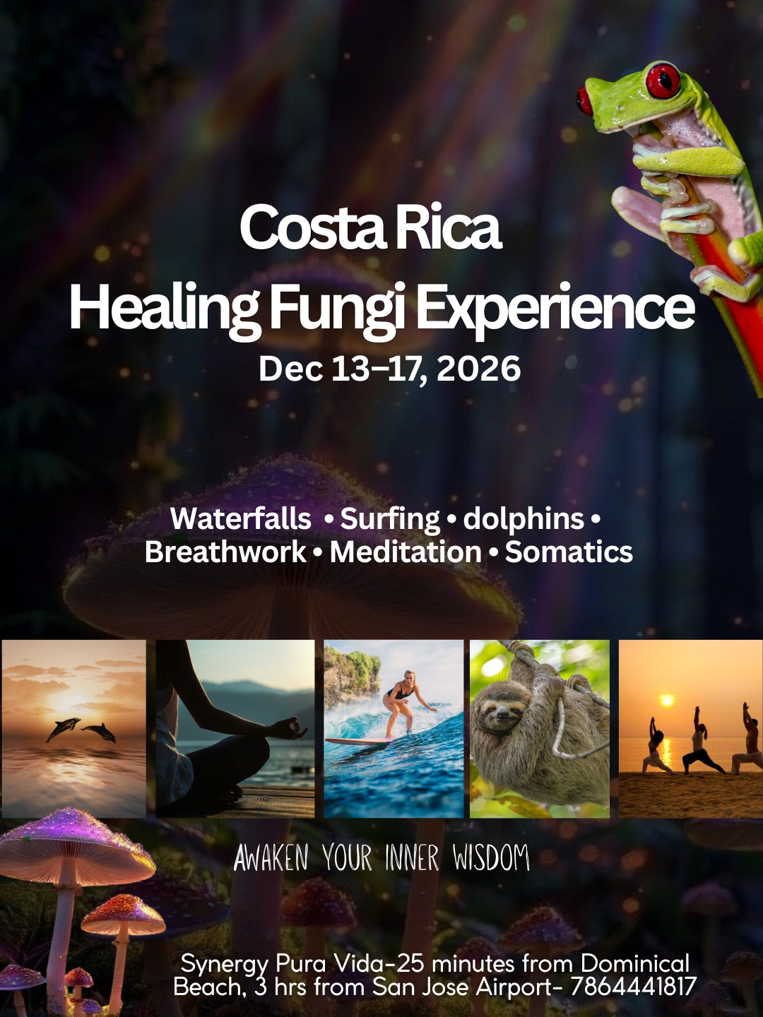 Costa Rica Healing Fungi Experience | Dec 13th - Dec 17th, 2026