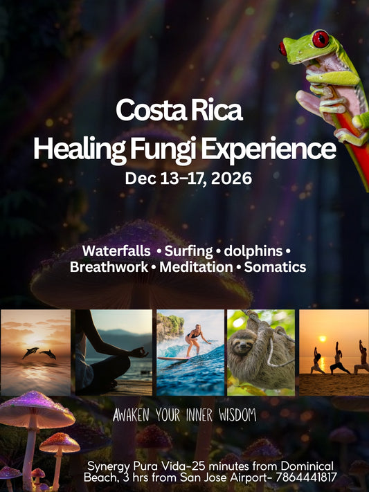 Costa Rica Healing Fungi Experience | Dec 13th - Dec 17th, 2026