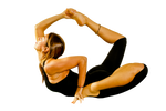 Hatha Vinyasa Yoga Teacher Training International Certification :: February 17 to March 17- 2024