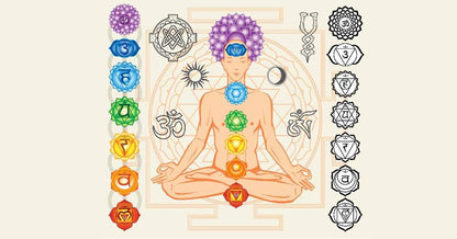 Chakras: Energetic Anatomy Workshop August 29th  3:30pm-5:00pm