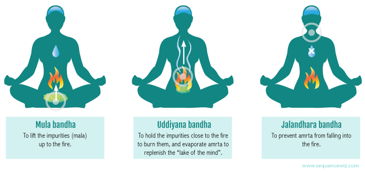 Intro Bandhas & Pranayama: August 28 | 8:00 AM–12:00 PM Only for Certified Yoga Teachers