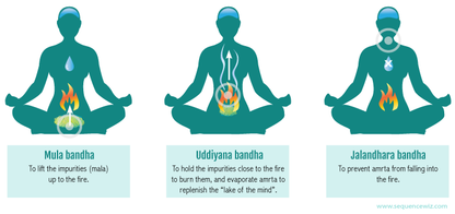 Intro Bandhas & Pranayama: August 28 | 8:00 AM–12:00 PM Only for Certified Yoga Teachers