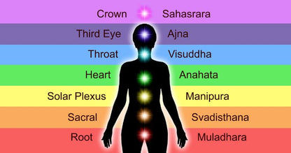 Chakras: Energetic Anatomy Workshop August 29th  3:30pm-5:00pm