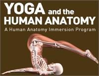 Anatomy & Physiology open for all | 2 Parts • Sept 5 & 19 • 9:30 AM–5 PM